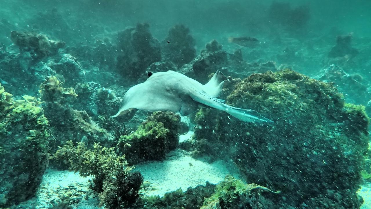 Floreana Lava Lodge Puerto Velasco Ibarra Eksteriør bilde