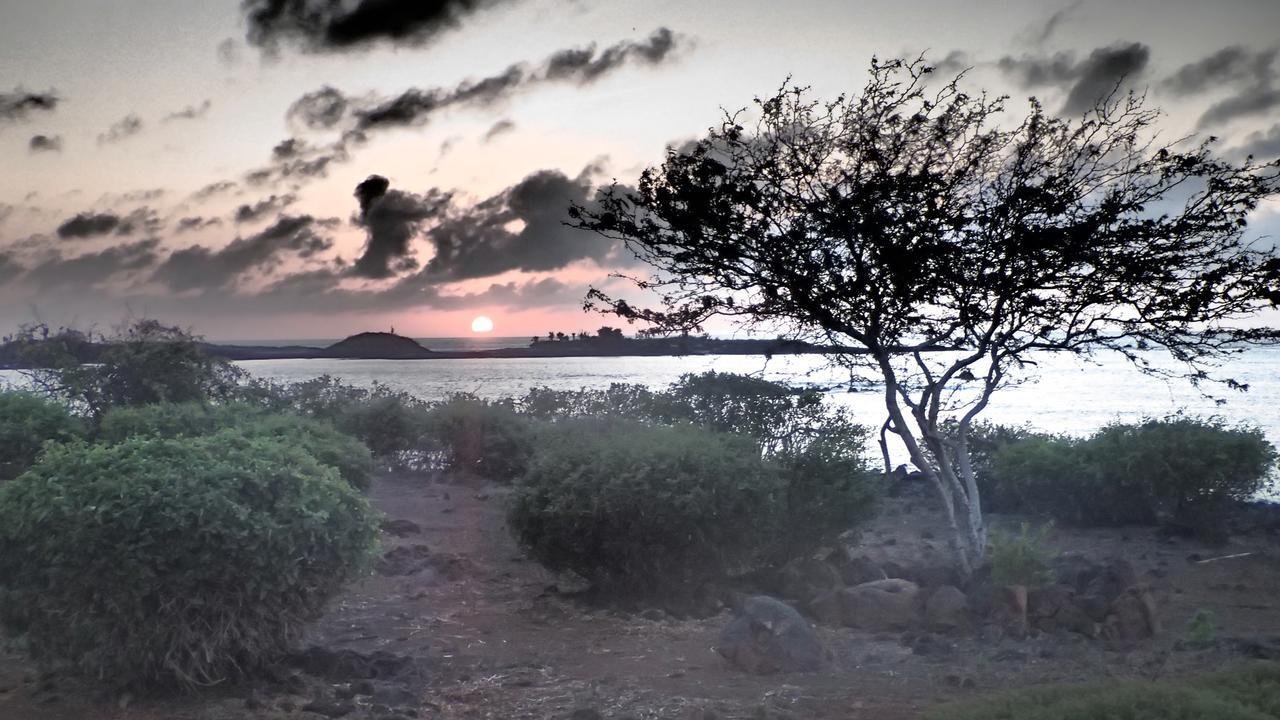 Floreana Lava Lodge Puerto Velasco Ibarra Eksteriør bilde