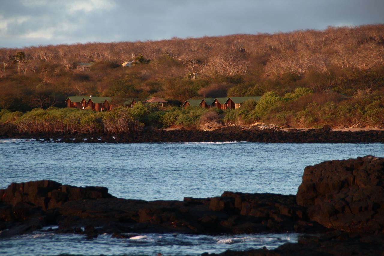 Floreana Lava Lodge Puerto Velasco Ibarra Eksteriør bilde