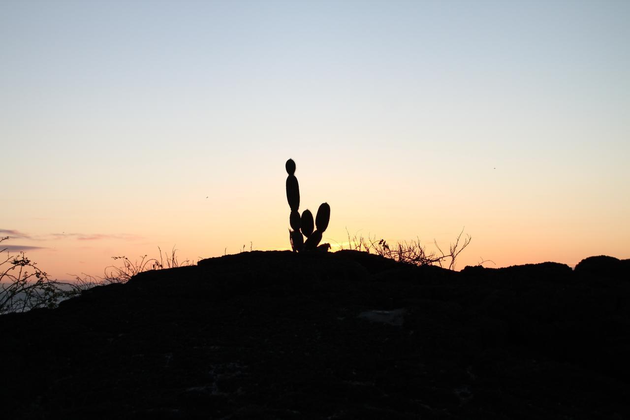Floreana Lava Lodge Puerto Velasco Ibarra Eksteriør bilde