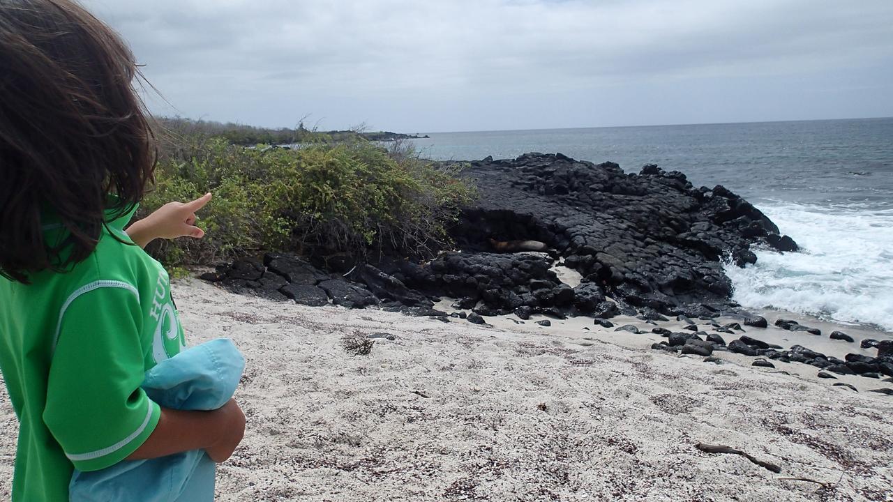 Floreana Lava Lodge Puerto Velasco Ibarra Eksteriør bilde